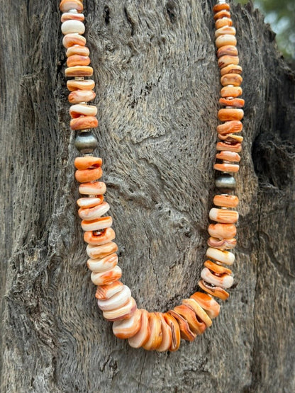 Graduated Spiny Oyster Silver Beaded Necklace