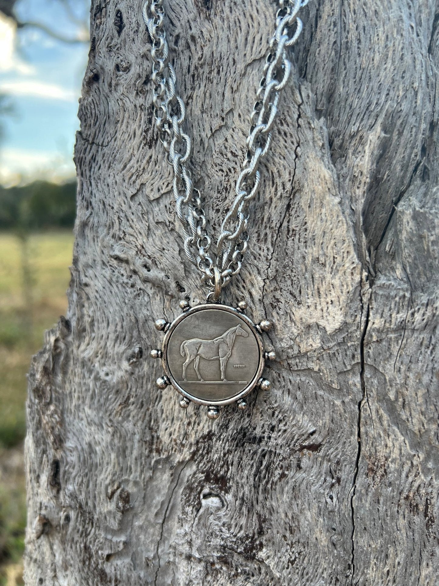 Horse Coin Double Chain Necklace