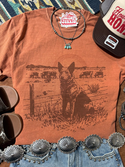 Ollie's Horizon Graphic TeeYamS