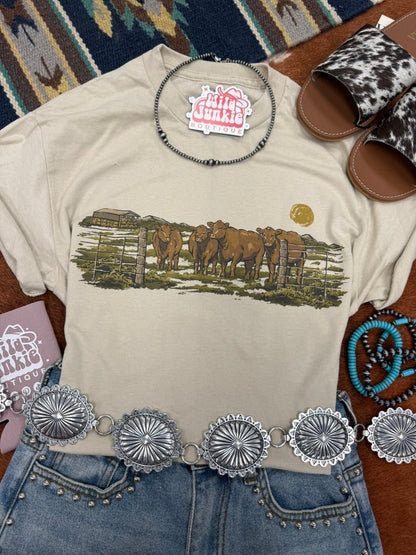 Pasture Red Cattle Graphic TeeCementS